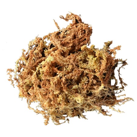 Long Fibered Sphagnum Moss – 432 cu in.